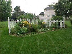 Perennial Garden